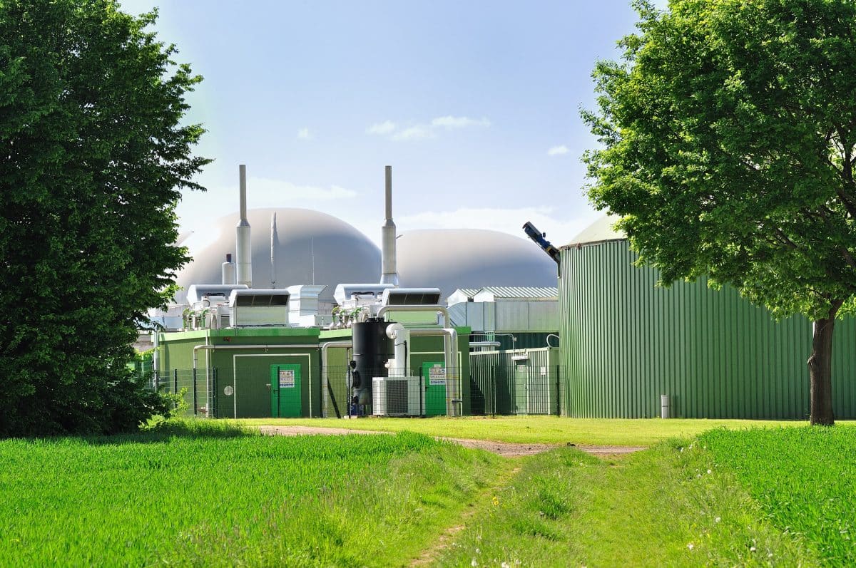 Esbjerg and Ulsan Collaborate on Hydrogen and Ammonia for Renewable Energy